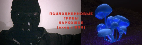 соль ск Инта