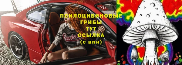 соль ск Инта
