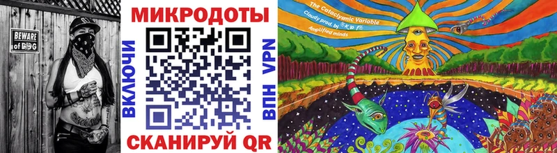 Купить закладки  Новотитаровская  Галлюциногенные грибы ЛСД 